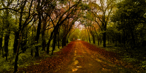 PACHMARHI