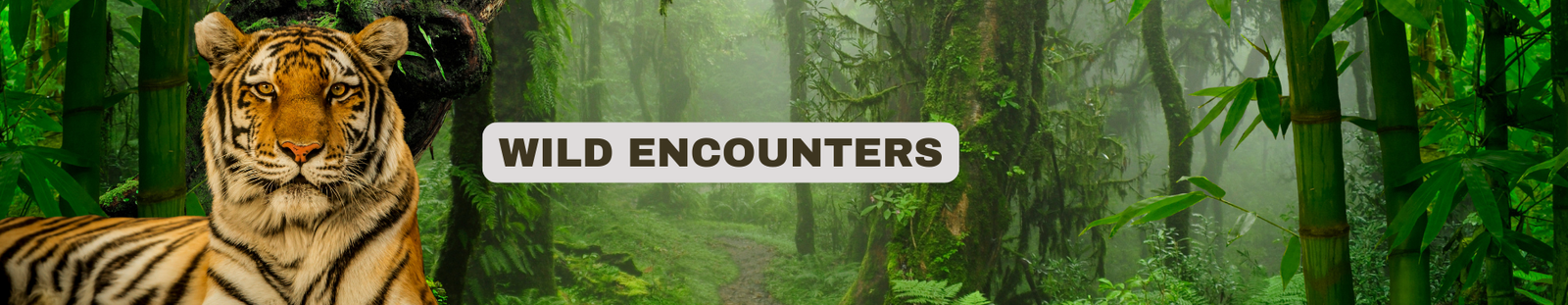 WILD ENCOUNTERS