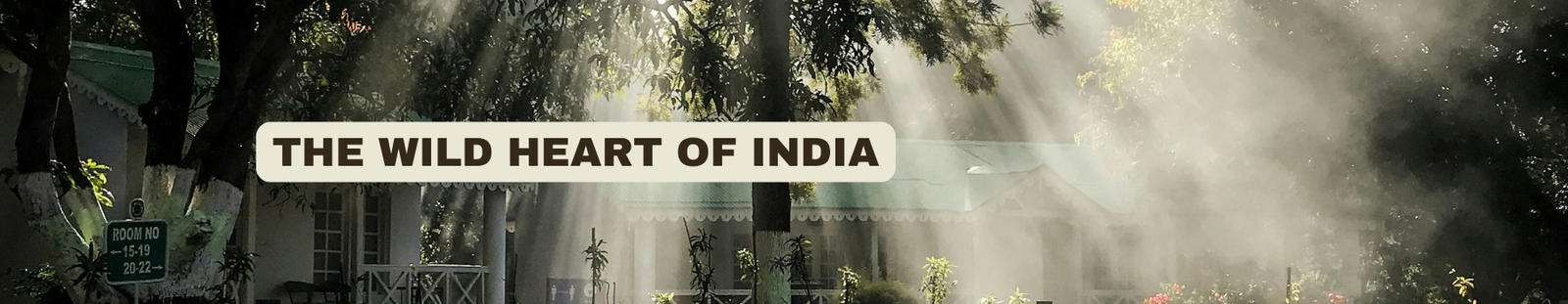 THE WILD HEART OF INDIA