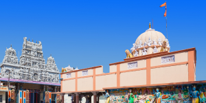 Indore sightseeing - Bhopal departure